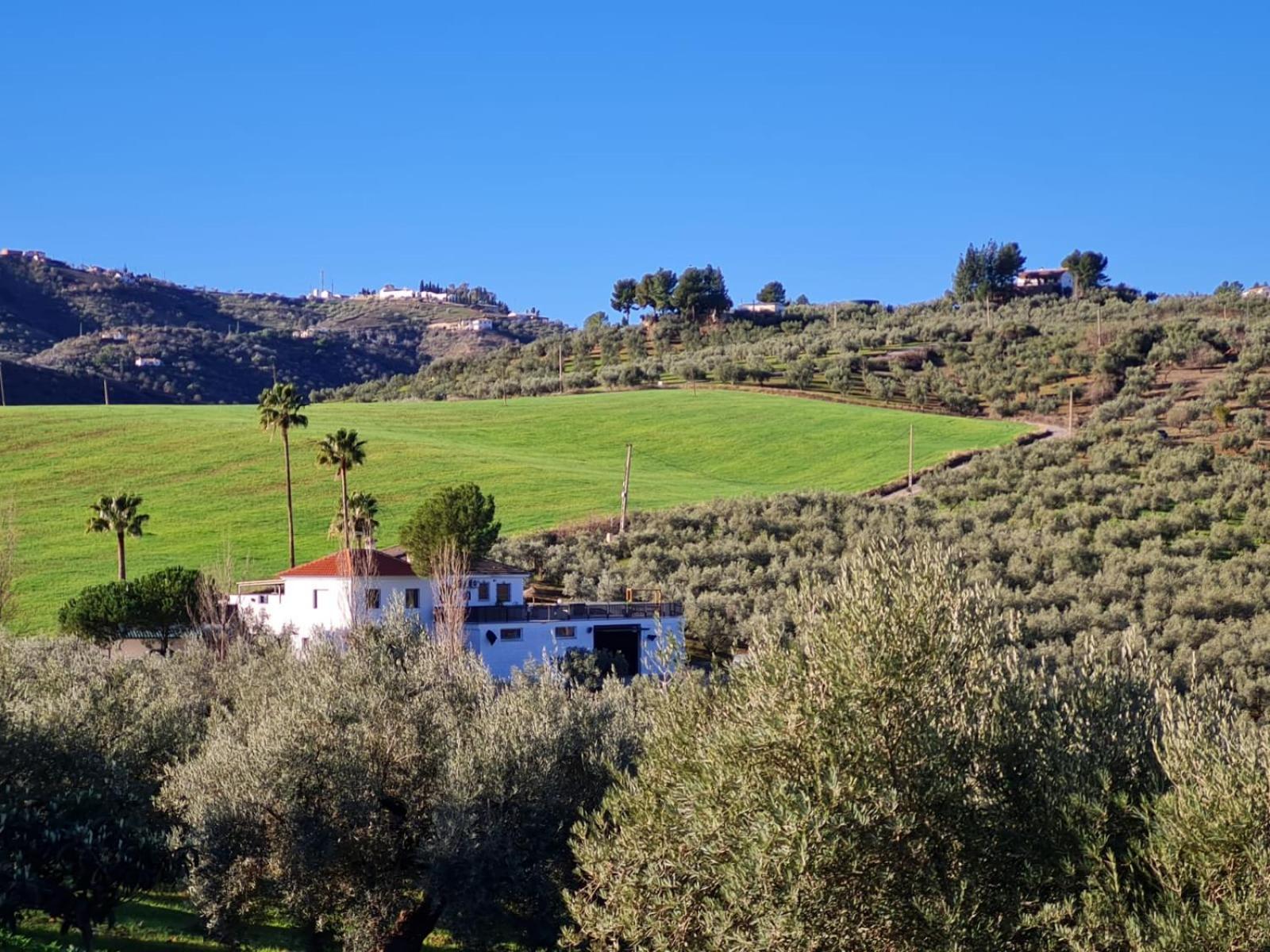 Casa Metaverdi Gars am Kamp Bagian luar foto