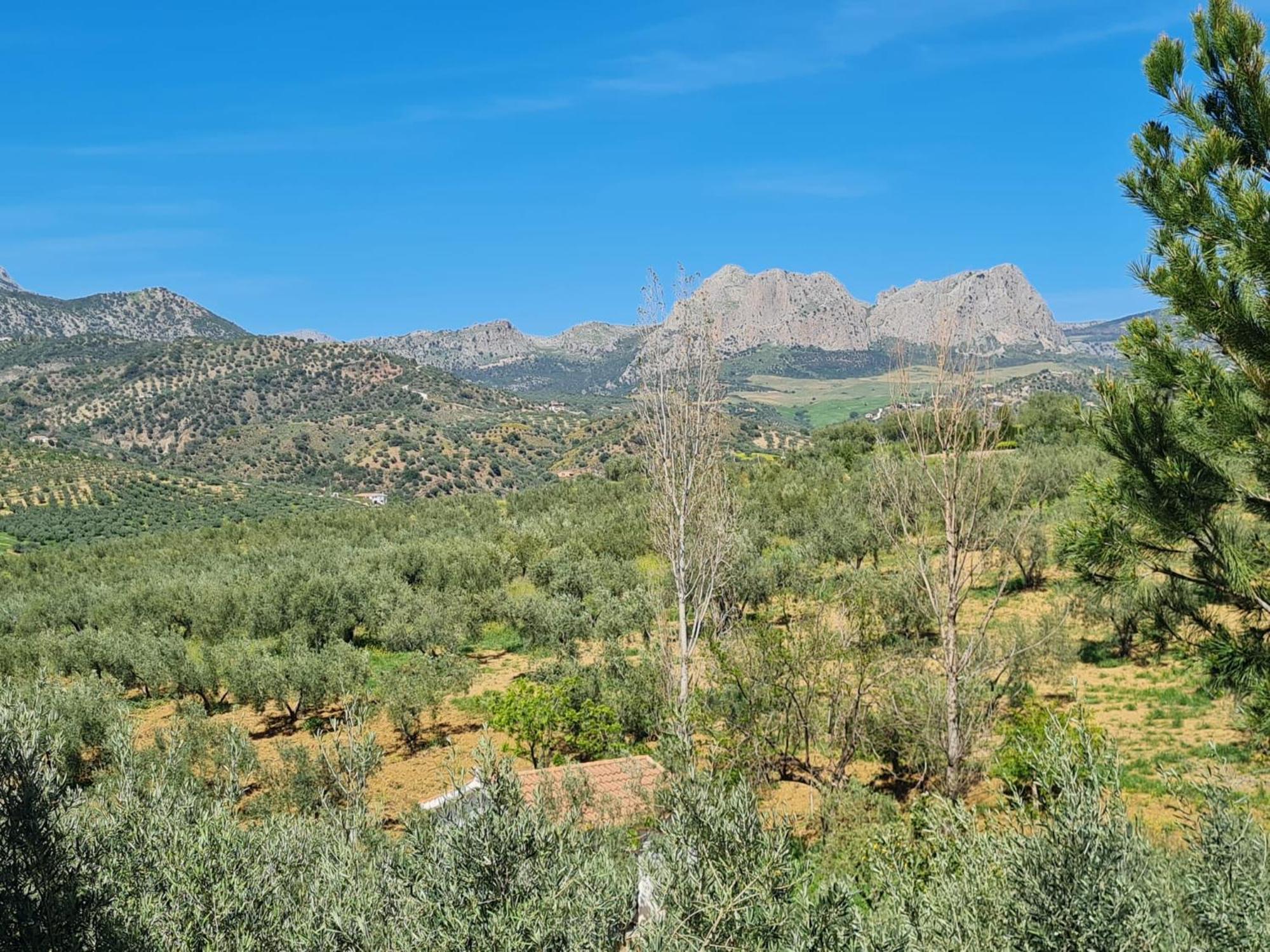 Casa Metaverdi Gars am Kamp Bagian luar foto